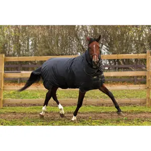 Outdoor-Decke für Pferde Horseware Trot Turnout Hvy