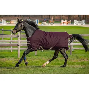 Outdoor horse blanket Horseware Amigo Hero Ripstop Lite 50 g image-0