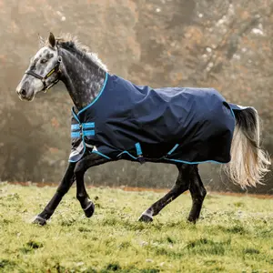 Outdoor paardendeken Horseware Amigo Bravo-12 T/O 100G W/LA image-0