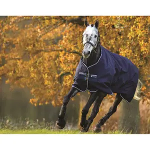 Outdoor horse blanket Horseware Amigo Bravo 12 Turnout Hvy 400 g image-0