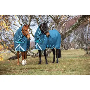 Outdoor-Decke für Pferde Horseware Amigo AmEco 12 Plus Turnout 250g image-0