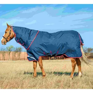 Coperta per cavalli all'aperto Horseware Amigo Bravo 12 Plus T/O 100 g image-0