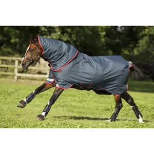 Coperta per cavalli all'aperto Horseware Amigo Bravo 12 Plus T/O 100 g image-1