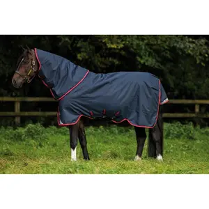 Coperta per cavalli all'aperto Horseware Amigo Bravo 12 Plus T/O 100 g image-2