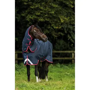 Coperta per cavalli all'aperto Horseware Amigo Bravo 12 Plus T/O 100 g image-3