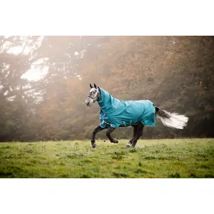 Outdoor horse blanket with neck cover Horseware Amigo Bravo 100g image-0