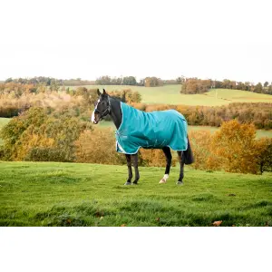 Outdoor paardendeken Horseware Amigo Bravo 12 Wug Med 250g image-0