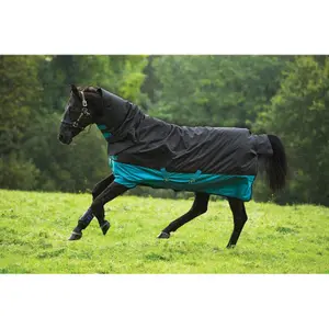 Couverture d'extérieur pour cheval Horseware Mio 200g image-0