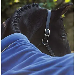 Fleece blanket for horse Horseware Rambo Cosy image-2