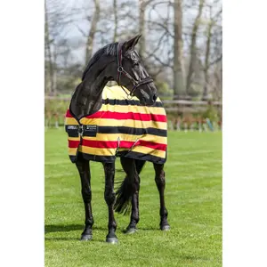 Polar dla koni Horseware Rambo Deluxe image-0