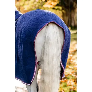 Drying shirt for horses Horseware Embossed Jersey Cooler image-4