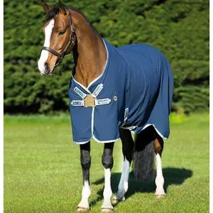 Υπόβαθρο αλόγου για στέγνωμα Horseware Rambo Helix Sheet image-1