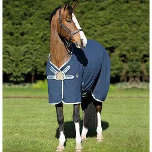 Υπόβαθρο αλόγου για στέγνωμα Horseware Rambo Helix Sheet image-3