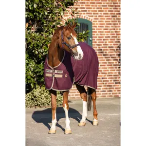 Licol pour cheval Horseware Amigo image-0