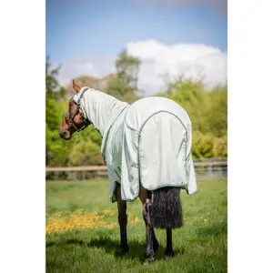 Udendørs dækken til heste Horseware Rambo image-5