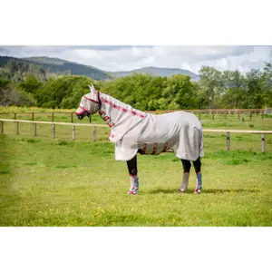 Outdoor horse blanket Horseware Rambo Disc Front image-0