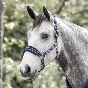 Wyściełane haltery dla koni Horseware Rambo image-0
