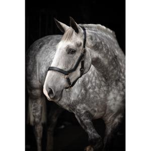 dhal8d-k000-halfter-fur-pferde-horseware-rambo-micklem-schwarz