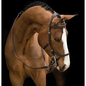 Halter for horse Horseware Rambo Micklem
