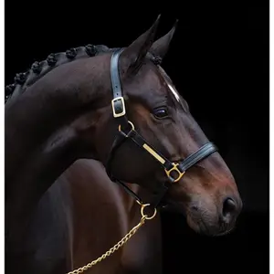 Cabezada acolchada para caballos Horseware Amigo image-0
