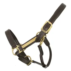 Cabezada acolchada para caballos Horseware Amigo image-0