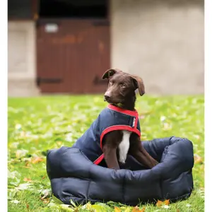 Wasserdichte Hundedecke Horseware Rambo M image-1