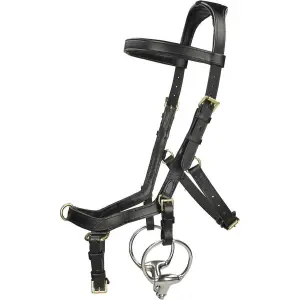 Riding bridles Horseware Rambo Micklem Multi image-0