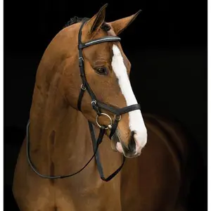 Briglie Snaffle, nasello largo Horseware Rambo Micklem image-0