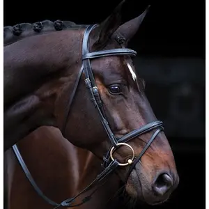 Riding bridle Horseware Amigo Deluxe image-0