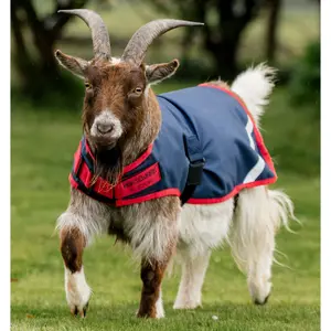 Coat for goat Horseware 200g image-0
