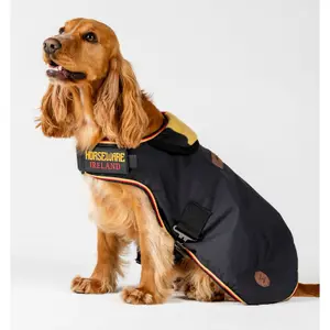 rrhw10-vrk0-ys-hundemantel-horseware-newmarket-witney-gold