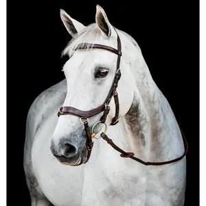 Anatomical riding bridle Horseware Micklem Multi image-0