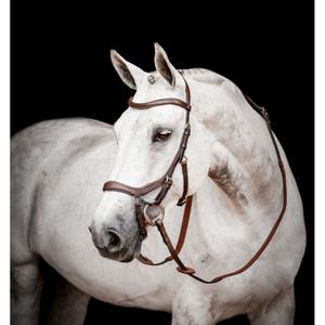 sbmom0-nab0-lc-anatomical-riding-bridle-horseware-micklem-2-dark-havana