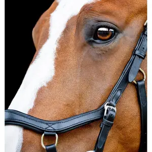 Bridons équitation Horseware Micklem 2 Diamante image-5