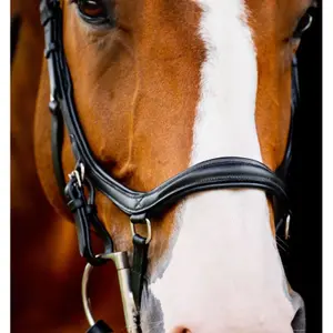 Bridons équitation Horseware Micklem 2 Deluxe image-1