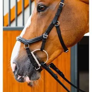 Bridons équitation Horseware Micklem 2 Deluxe image-2