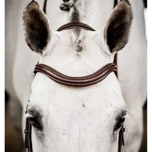 Bridons équitation Horseware Micklem 2 Deluxe image-1