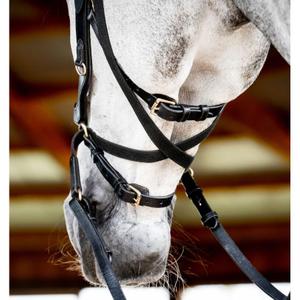 Anatomiskt utformat ridträns Horseware Micklem 2 Multi image-2