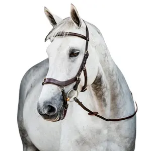 Träns för ridning Horseware Micklem 2