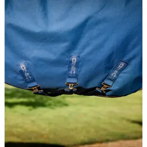 Outdoor-Decke für Pferde Horseware Ionic100g image-2