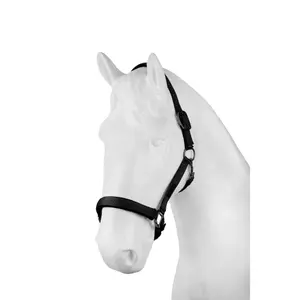 Halter for horse Horze image-0