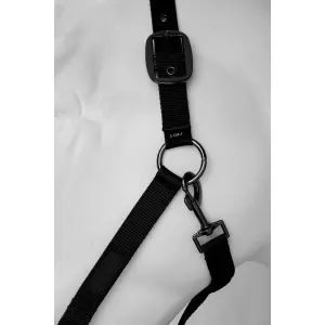 Halter for horse Horze image-1