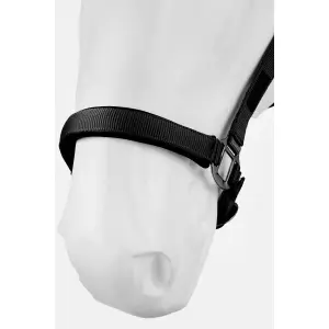 Halter for horse Horze image-2