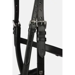 Caveçon aus Leder Horze image-2