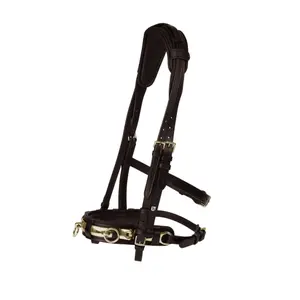 Caveçon aus Leder Horze