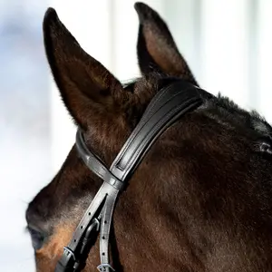 Snaffle hoofdstellen voor gekruiste paarden Horze Prescott image-4
