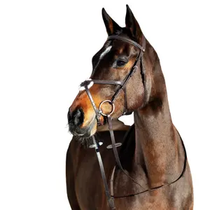 Snaffle hoofdstellen voor gekruiste paarden Horze Prescott image-0