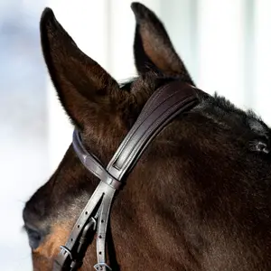 Snaffle hoofdstellen voor gekruiste paarden Horze Prescott image-4