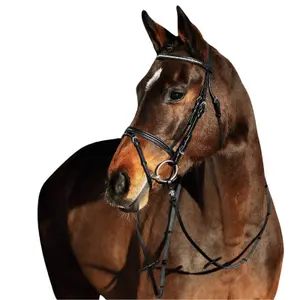 Reittrensen für Pferde Horze Weston image-1