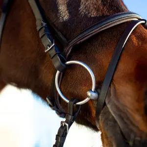 Reittrensen für Pferde Horze Weston image-2